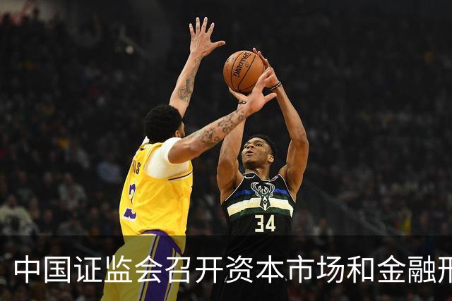 中国证监会召开资本市场和金融形势专家座谈会