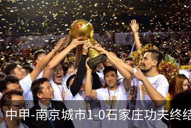 中甲-南京城市1-0石家庄功夫终结13轮不胜 泽·维托尔制胜