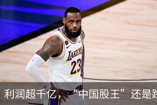 利润超千亿，“中国股王”还是跌疼了股民