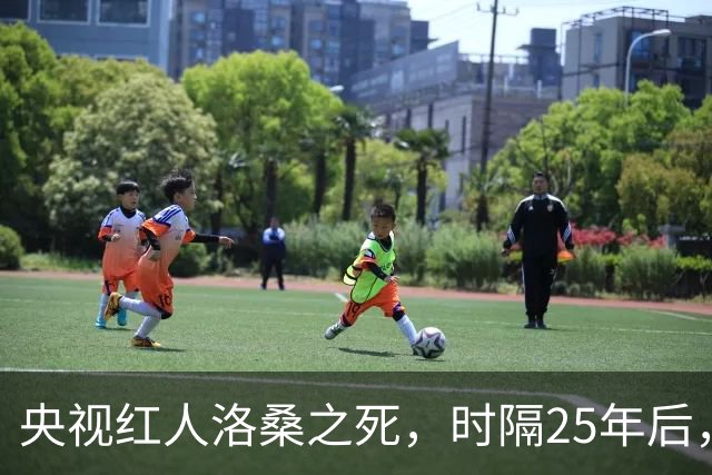 央视红人洛桑之死，时隔25年后，搭档博林坦白：他根本没喝多少酒
