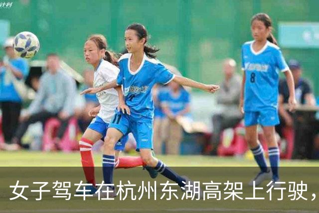 女子驾车在杭州东湖高架上行驶，车顶突然传来窸窸窣窣的声音，智驾紧急退出，下车一看，门框、车顶雷达被风筝线割得伤痕累累；交警已取证