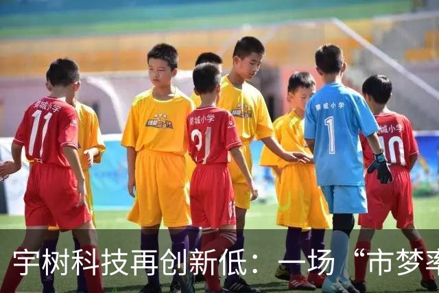 宇树科技再创新低：一场“市梦率”的理性消解
