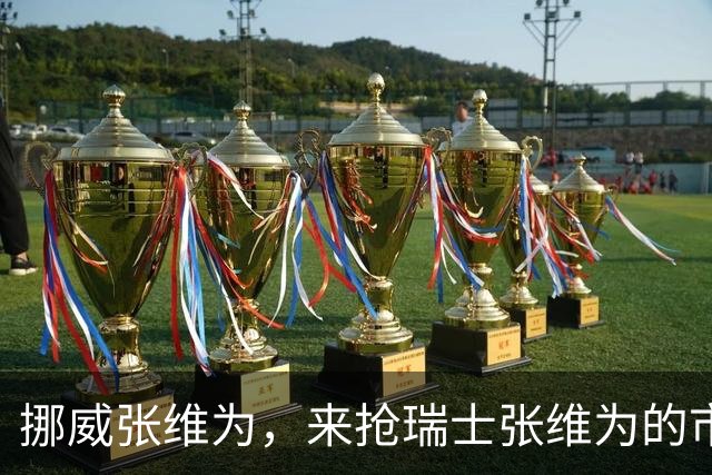 挪威张维为，来抢瑞士张维为的市场了