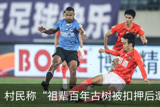 村民称“祖辈百年古树被扣押后遭转赠”，官方通报