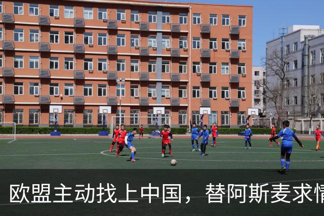 欧盟主动找上中国，替阿斯麦求情：中方别管制了，真顶不住