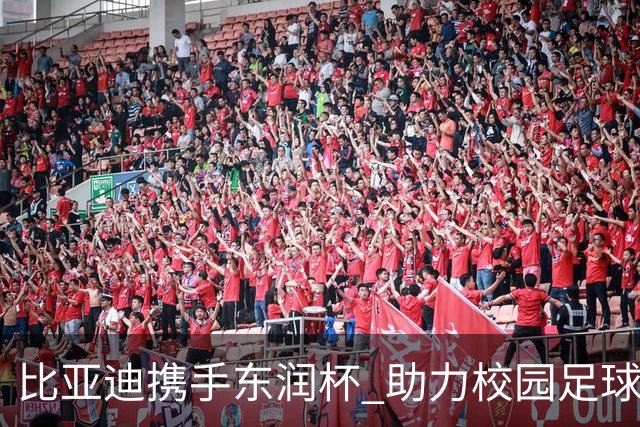 比亚迪携手东润杯 助力校园足球少年圆梦工体