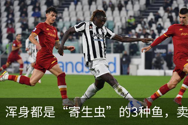 浑身都是“寄生虫”的3种鱼，卖鱼商贩都不敢吃，白送也千万别要