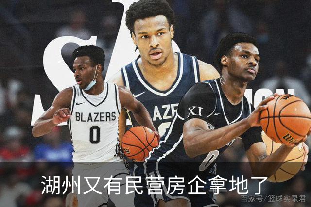 湖州又有民营房企拿地了