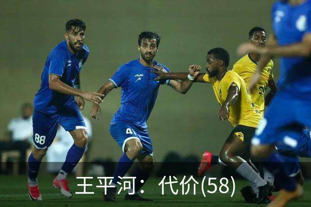 王平河：代价(5/8)