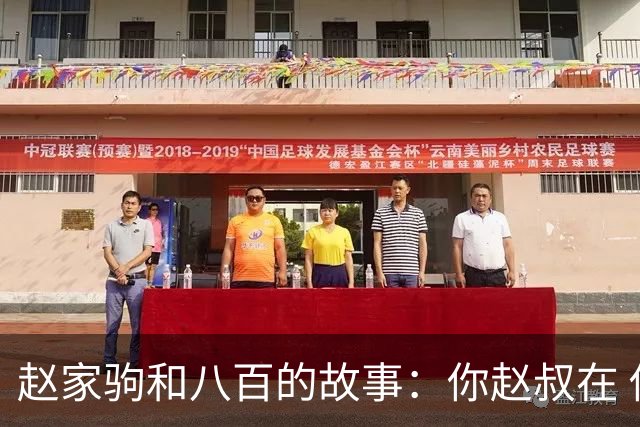 赵家驹和八百的故事：你赵叔在 你爸也在