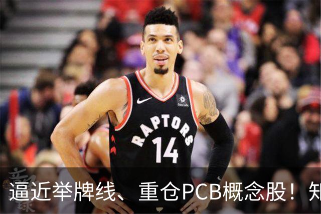 逼近举牌线、重仓PCB概念股！知名牛散三季度新进股梳理