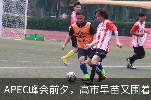 APEC峰会前夕，高市早苗又围着台湾问题做文章，背后的算计不简单